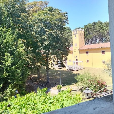 Apartments Lazzarini Battiala Nedeščina エクステリア 写真