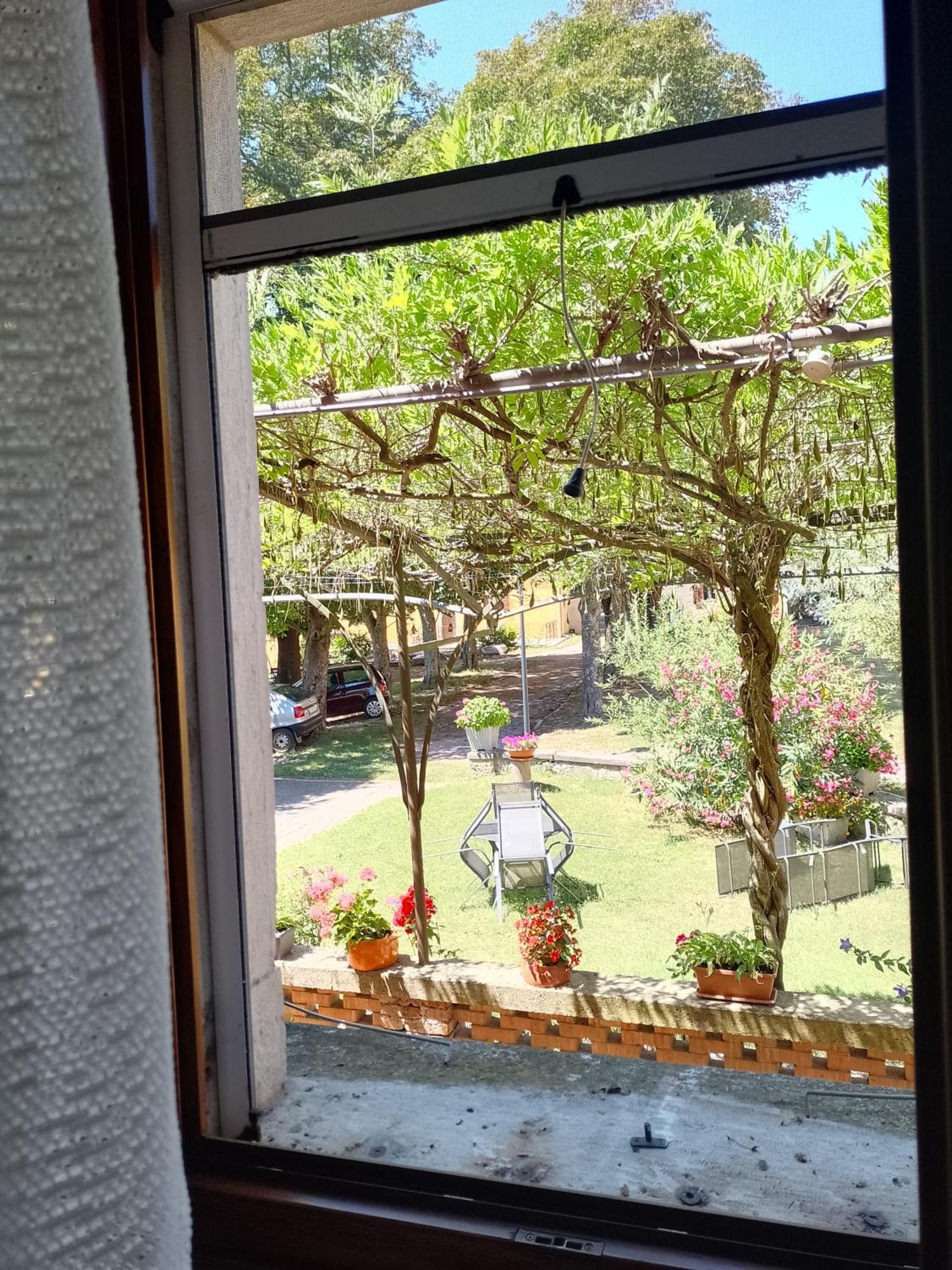 Apartments Lazzarini Battiala Nedeščina エクステリア 写真
